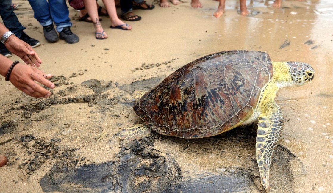 Masa Lalu Pantai yang Menarik