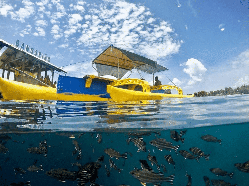 Pantai Bangsring Banyuwangi, Spot Snorkeling Paling Keren!