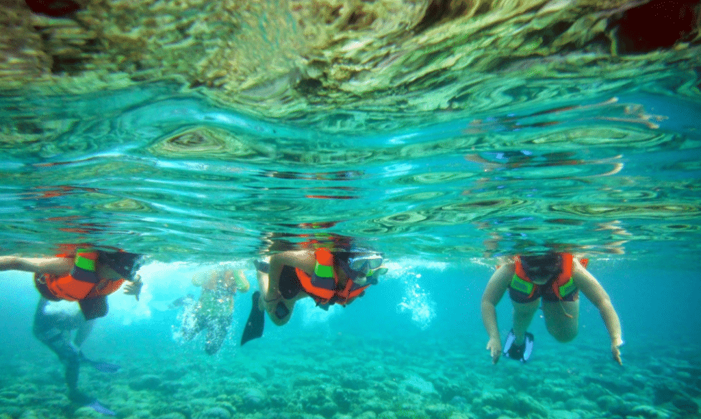 Snorkeling