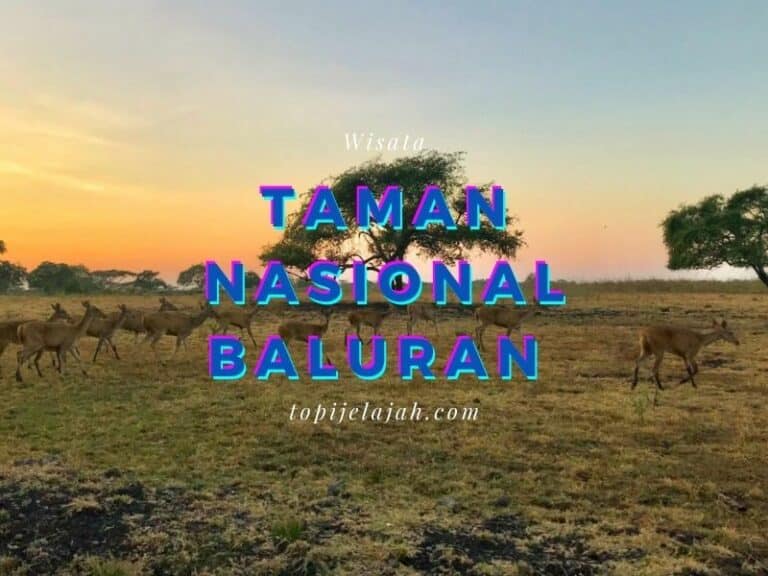 taman baluran banyuwangi