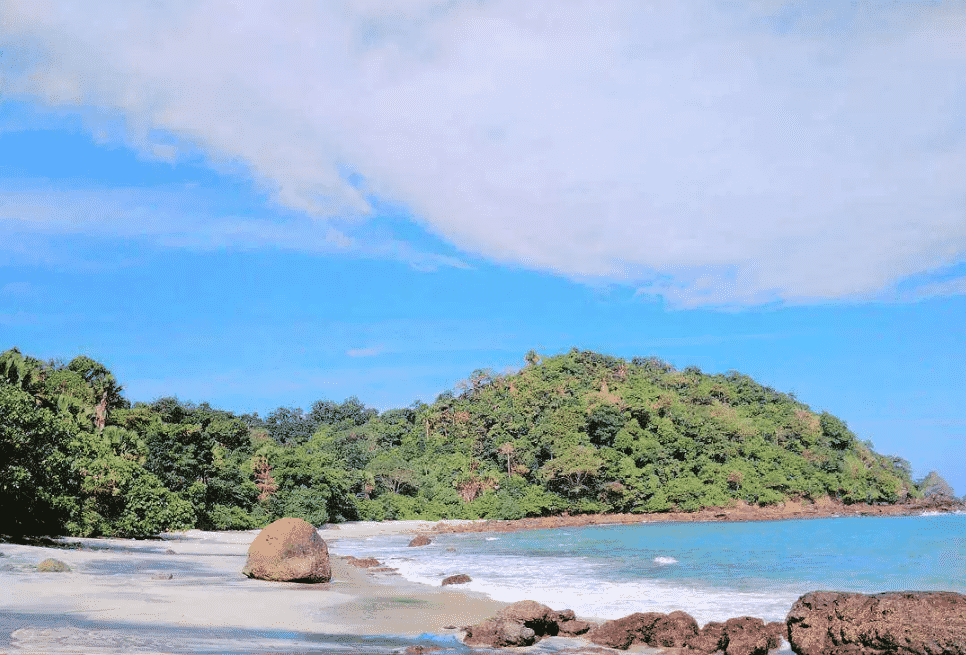 Hutan Pantai