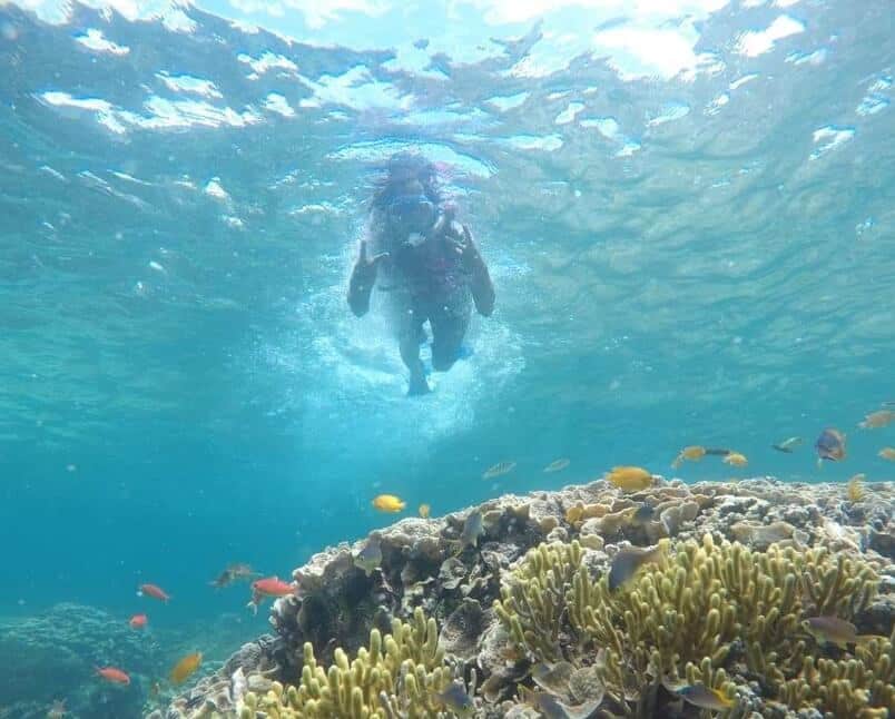 Snorkeling