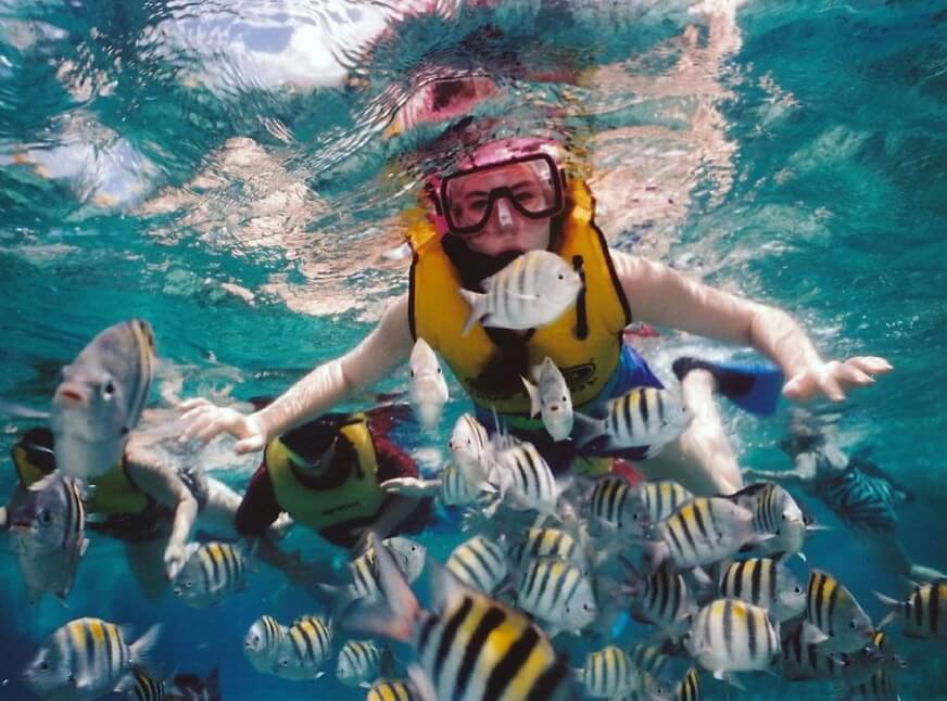 Snorkeling di Padang Bai