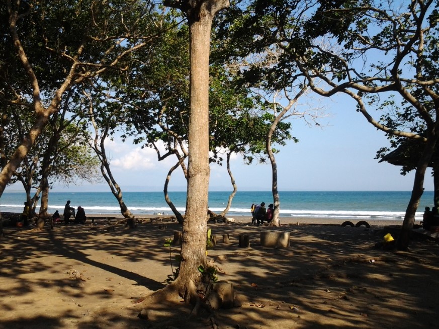 Spot Foto Pantai Gradjagan