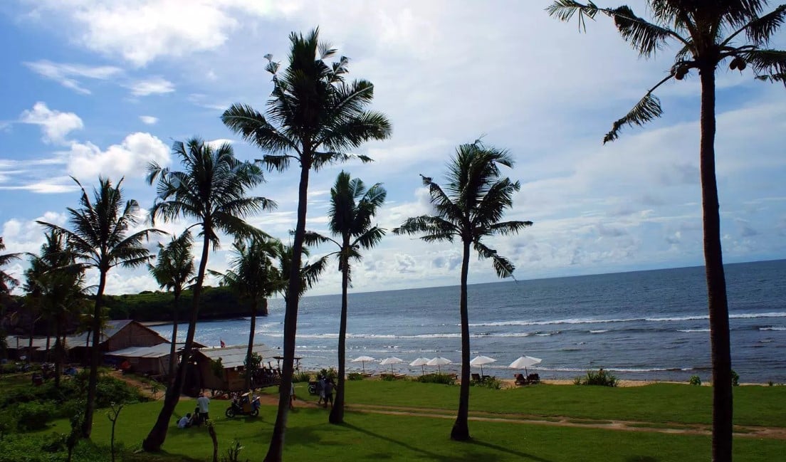 Pantai dengan Jajaran Pohon Kelapa