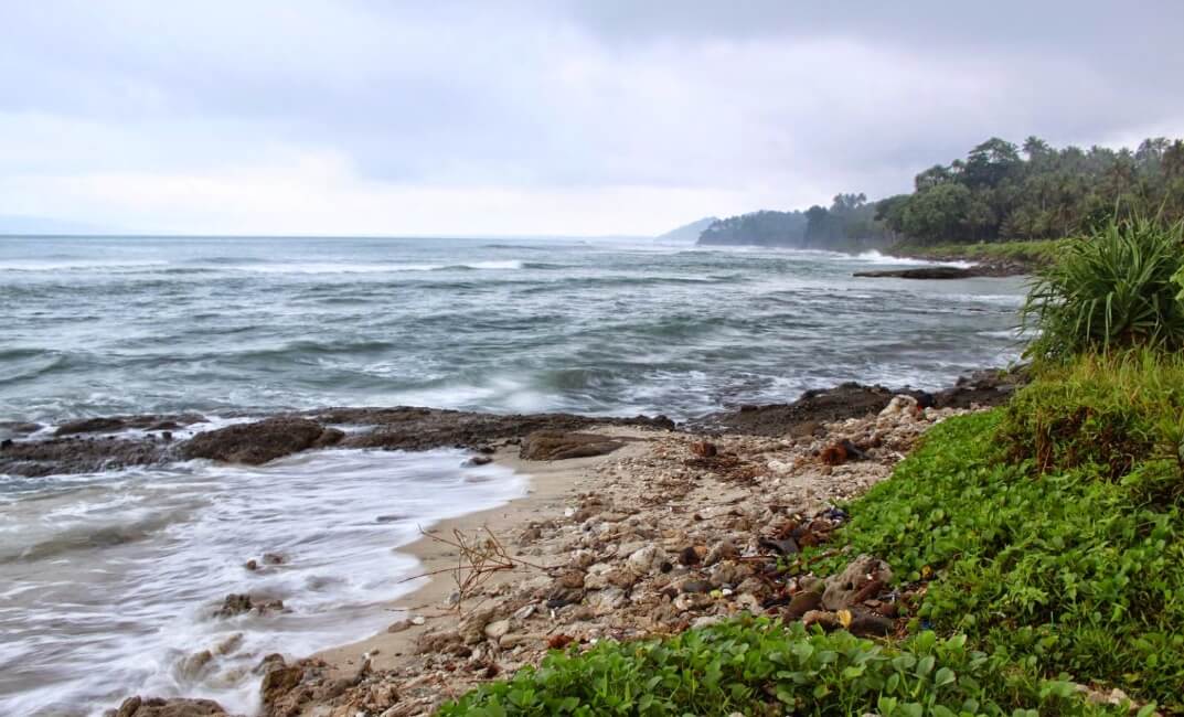 Biota Laut Pantai Karapyak