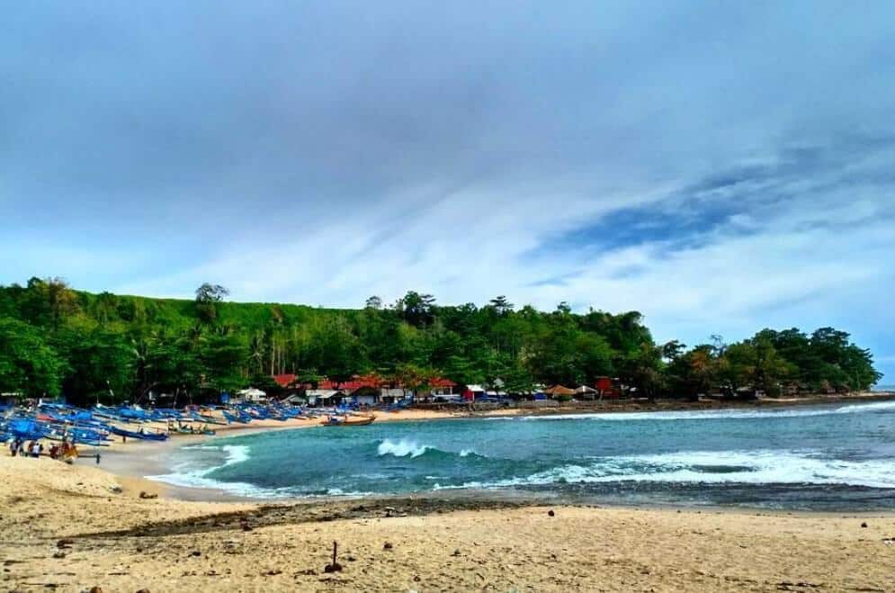 Biota Pantai Rancabuaya