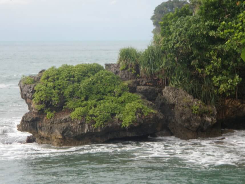 Tebing Pantai Pangalek