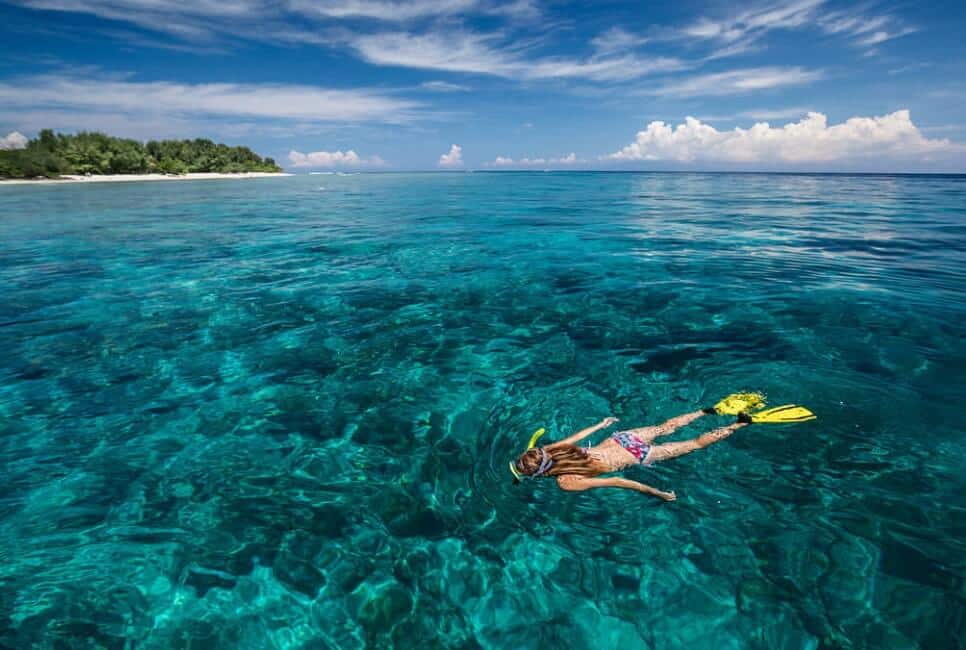 Snorkling atau Diving