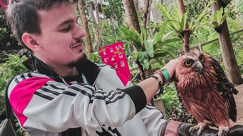 bird & bromelia pavilion west java