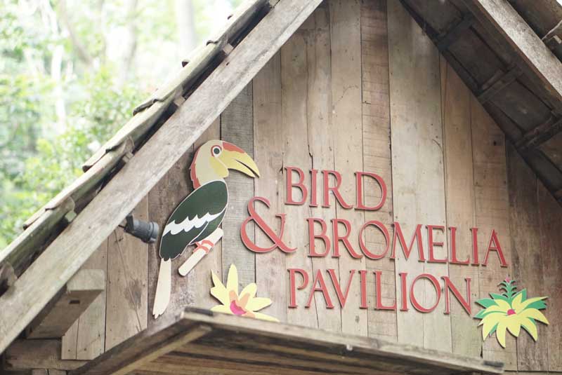 Bird and Bromelia Paviliun Bandung: Ajak si Kecil Bermain dan Belajar!