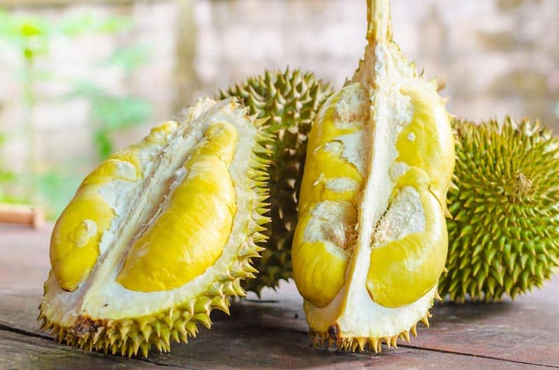 cafe di aceh barat daya durian