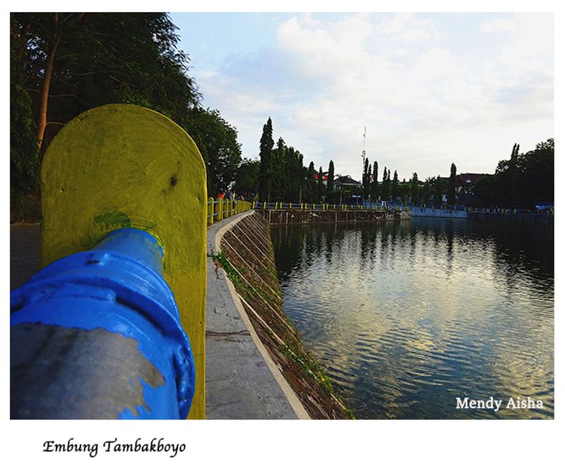 Embung Tambakboyo Jogja : Tempat Jogging Romantis Semua Kalangan!