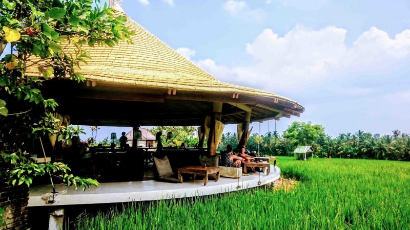 tempat nongkrong di ubud paling alami