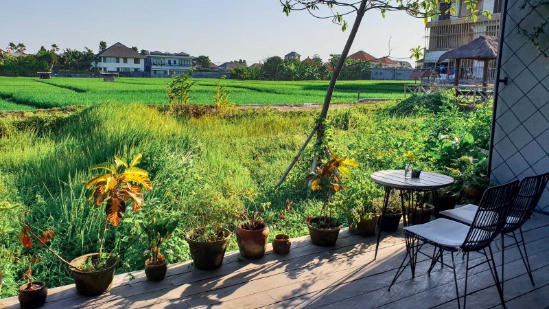 Tempat Nongkrong di Canggu alami