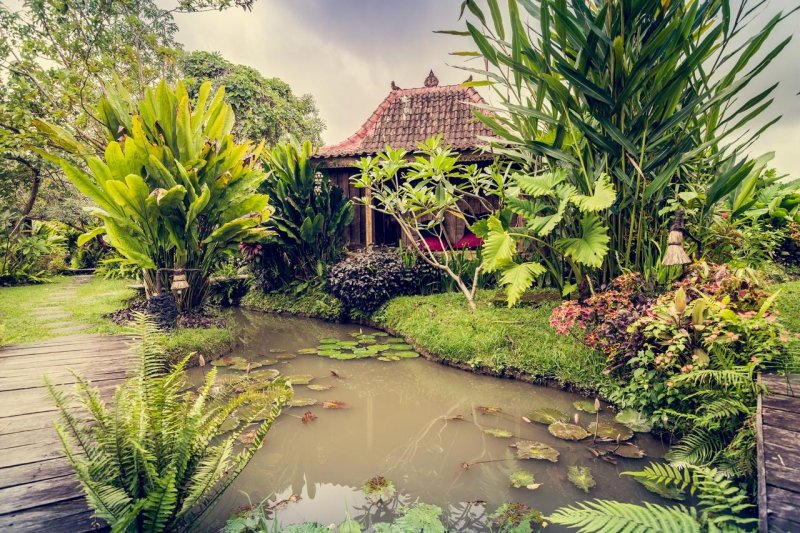 Cafe di Ubud yang alami