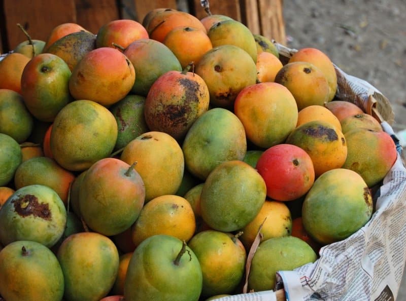 buah khas majalengka