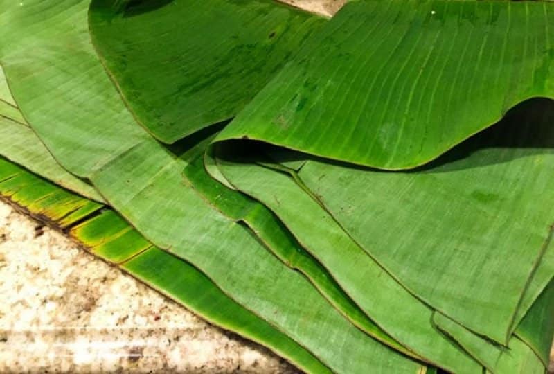 bonggolan tanpa ikan