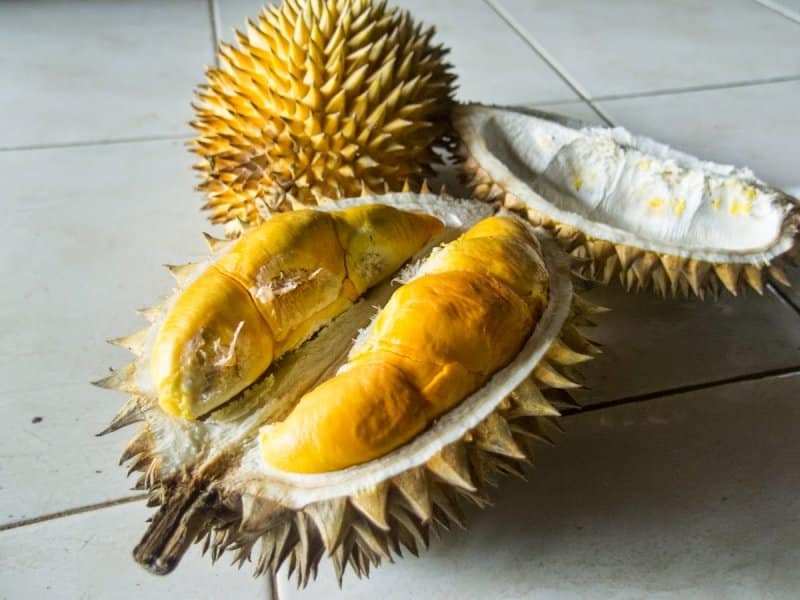 buah durian khas majelengka