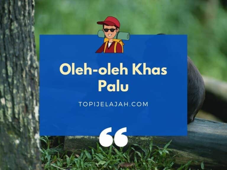 oleh-oleh-khas-palu