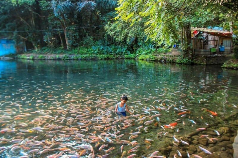 Tempat Wisata Wajib Dikunjungi Salatiga