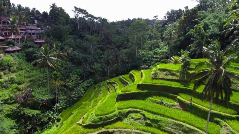 Salah satu contoh desa tertua di bali adalah