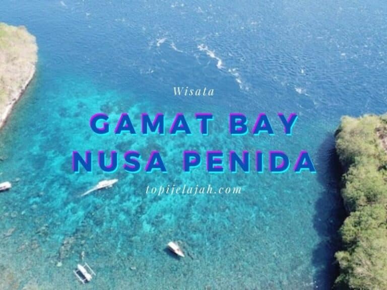 gamat bay nusa penida