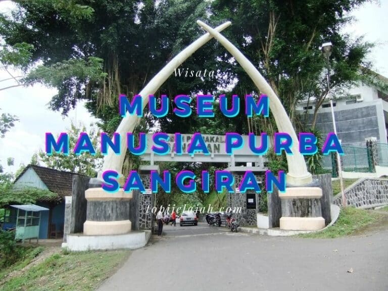 museum-manusia-purba-sangiran-1